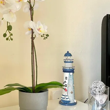 Two-bedroom With Two Large Terraces 公寓